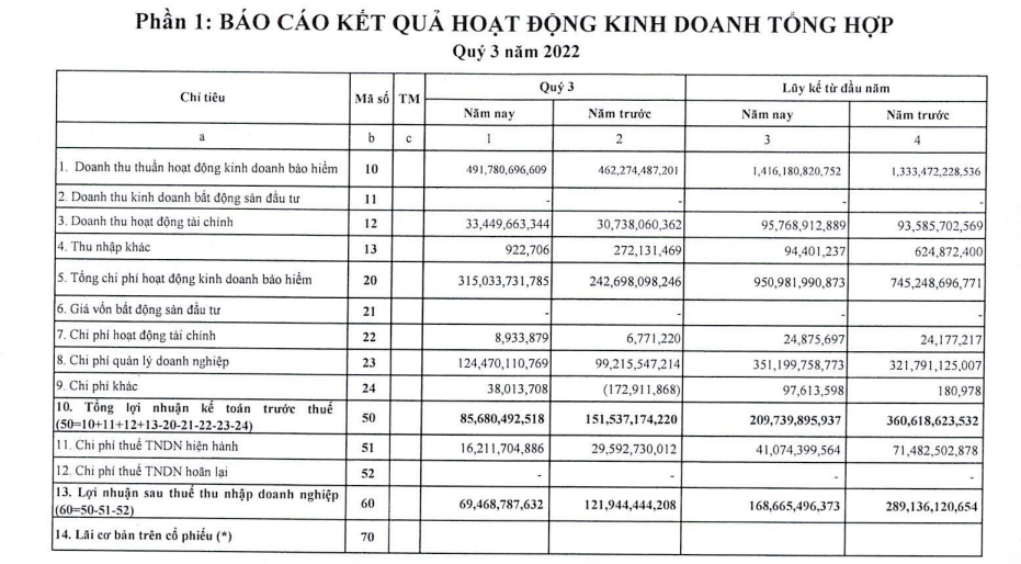 Nguồn: BCTC qu&yacute; 3/2022.