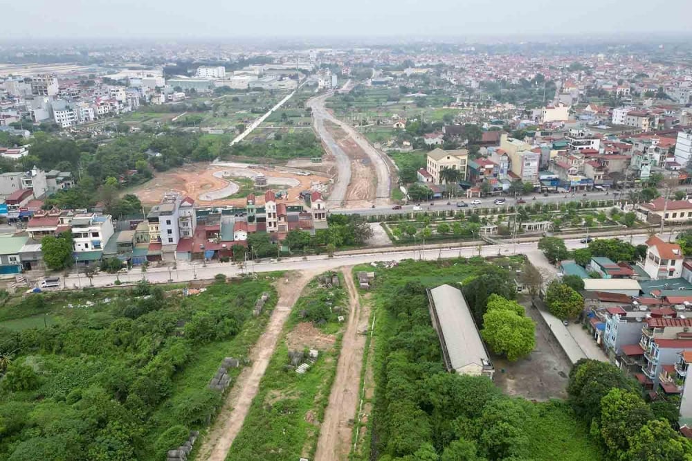 Đề xuất cấm 5 năm người tham gia đấu gi&#225; đất rồi bỏ cọc - Ảnh 1