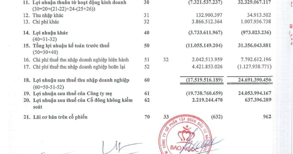 Kết quả hoạt động kinh doanh của&nbsp;C&ocirc;ng ty cổ phần Tập đo&agrave;n Đầu tư Bảo Ngọc.