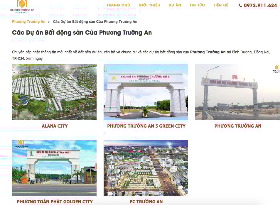 C&aacute;c dự &aacute;n của&nbsp;C&ocirc;ng ty cổ phần Tập đo&agrave;n Phương Trường An đăng tải tr&ecirc;n website c&ocirc;ng ty. Ảnh chụp m&agrave;n h&igrave;nh.&nbsp;