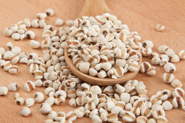 Cục Quản l&yacute; y dược cổ truyền (Bộ Y tế) vừa thu hồi một l&ocirc; dược liệu &yacute; dĩ kh&ocirc;ng đạt chất lượng.