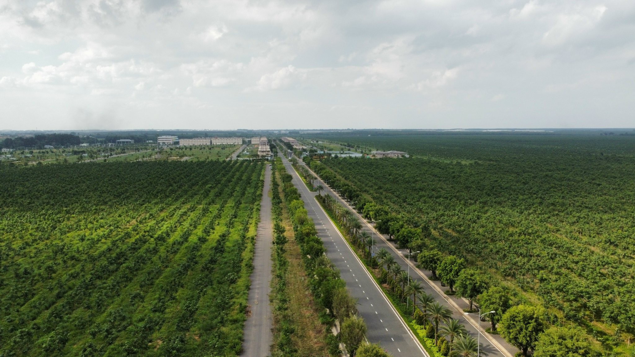 Dự &aacute;n xung quanh l&agrave; c&aacute;nh rừng cao su bạt ng&agrave;n. Kh&aacute;ch h&agrave;ng mua dự &aacute;n gặp nhiều kh&oacute; khăn v&igrave; trả l&atilde;i ng&acirc;n h&agrave;ng, chủ đầu tư kh&ocirc;ng b&agrave;n giao được giấy chứng nhận quyền sử dụng đất - Ảnh KN