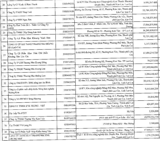 L&#224;o Cai: C&#244;ng khai 40 doanh nghiệp nợ thuế hơn 550 tỷ đồng - Ảnh 2