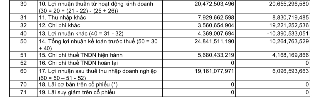 Kết quả kinh doanh của Di Động Việt