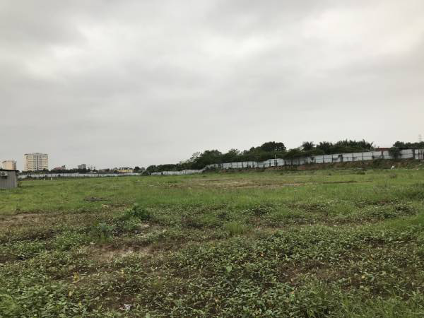 Được giao hơn 14.000m2 đất thời giạn 50 năm, C&ocirc;ng ty 579 xin miễn tiền thu&ecirc; đất 25 năm. (Ảnh minh họa)