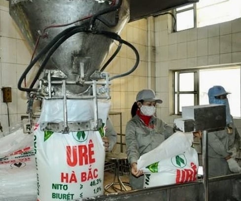 Đạm H&agrave; Bắc lỗ 96 tỷ đồng trong qu&yacute; 3/2025, nợ phải trả gấp 8,5 lần vốn chủ sở hữu.