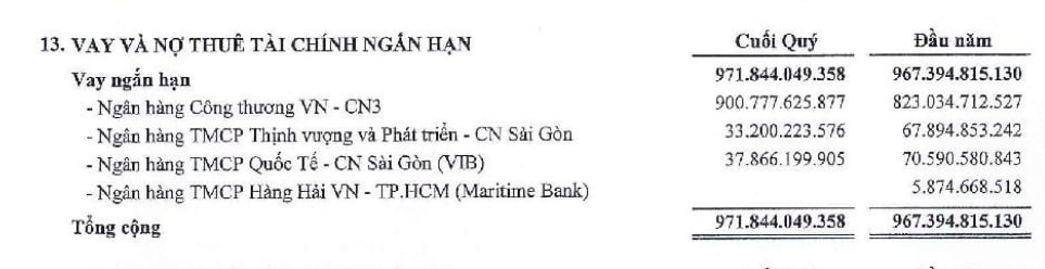 C&aacute;c khoản vay nợ của SC5 tại c&aacute;c ng&acirc;n h&agrave;ng.&nbsp;