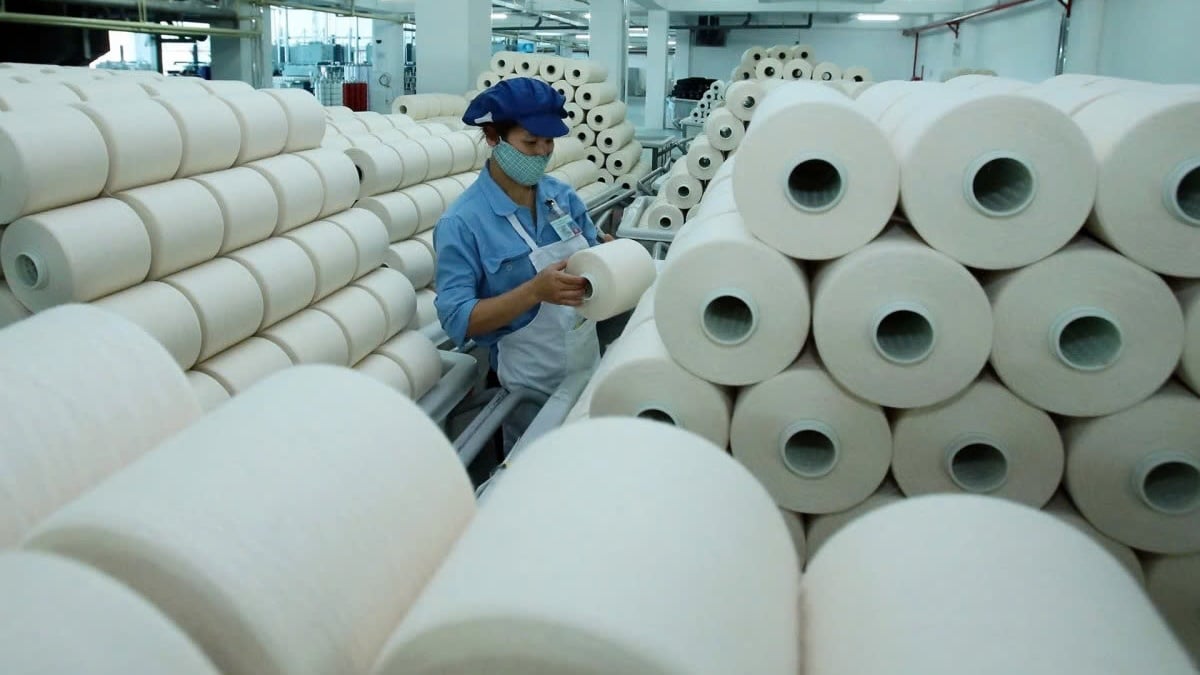 &Aacute;p lực tỷ gi&aacute; khiến STK hụt hơi, l&atilde;i r&ograve;ng qu&yacute; III lao dốc 87%.