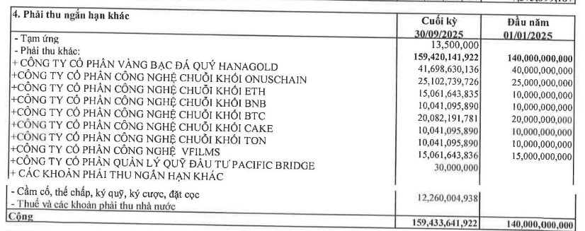 Lãi chưa tới 100 triệu, HVA vẫn nuôi tham vọng lập sàn tài sản số - Ảnh 1