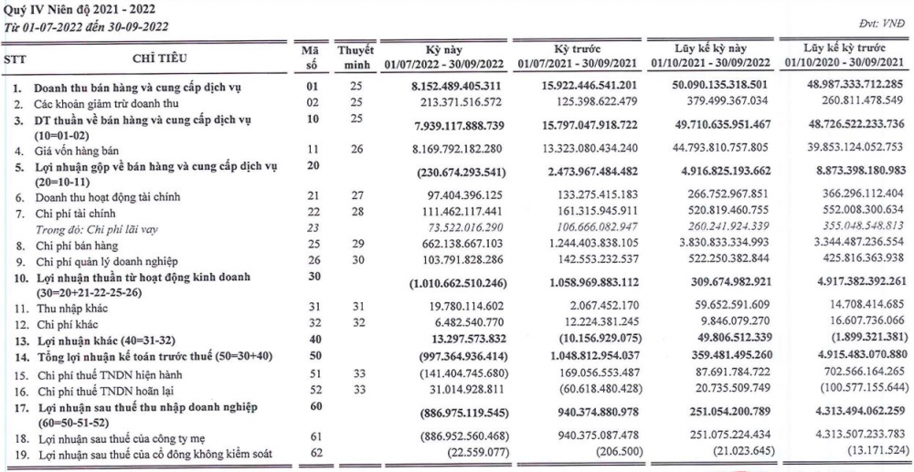 Tập đo&agrave;n Hoa Sen lỗ gộp hơn 230 tỷ đồng trong qu&yacute; vừa qua.&nbsp;Nguồn: B&aacute;o c&aacute;o t&agrave;i ch&iacute;nh