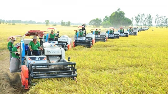 Lộc Trời lỗ 327 tỷ, d&#242;ng tiền kinh doanh &#226;m gần 3.800 tỷ - Ảnh 1