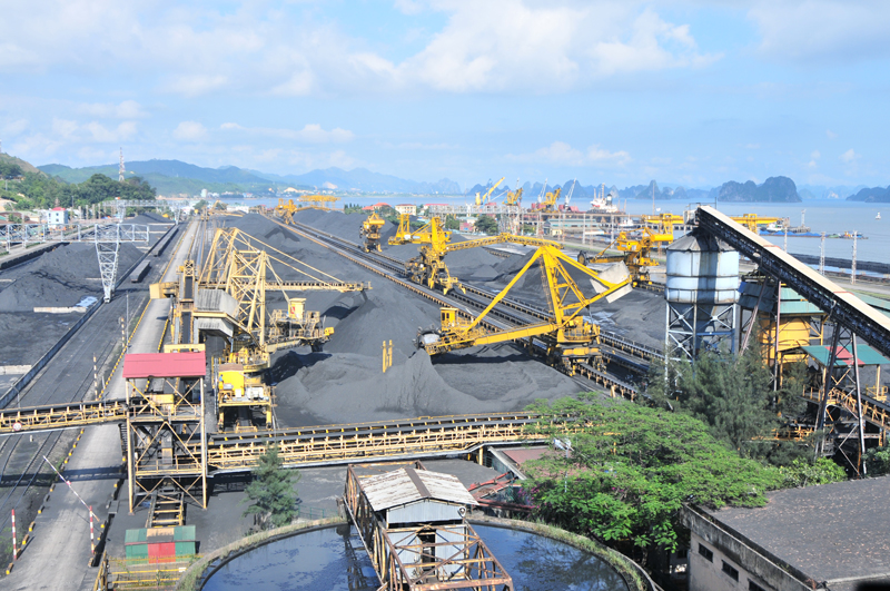 B&atilde;i tập kết, chế biến than của CLM tại Quảng Ninh. (Ảnh: CLM)