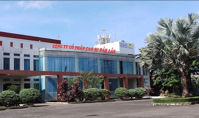 Dù luỹ kế 9 th&aacute;ng năm 2023, Cao su Đắk Lắk l&atilde;i 42,5 tỷ đồng, tăng 35,3% so với c&ugrave;ng kỳ năm 2022 th&ecirc;́ nhưng kh&ocirc;ng hi&ecirc;̉u vì lý do gì mà Cao su Đắk Lắk lại ch&acirc;y ì nợ thu&ecirc;́.