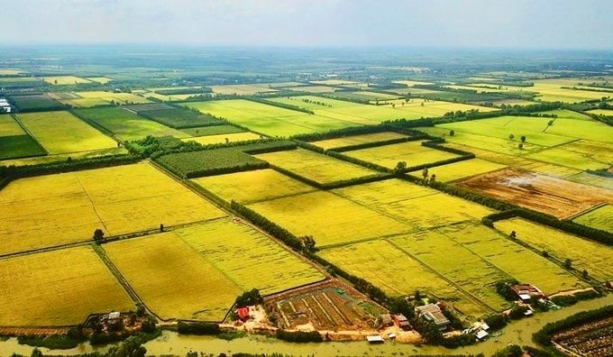 K&eacute;o d&agrave;i miễn thuế sử dụng đất n&ocirc;ng nghiệp th&ecirc;m 5 năm.