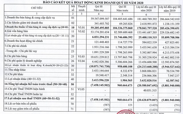 Lợi nhuận ng&#224;nh dược ph&#226;n h&#243;a mạnh trước &#39;c&#250; đ&#250;p&#39; Covid-19 - Ảnh 5