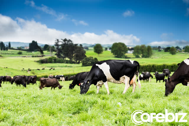 &#205;t b&#242; nhưng vẫn muốn đấu với Vinamilk v&#224; TH True Milk ở mảng sữa tươi, Nutifood đ&#227; l&#224;m c&#225;ch n&#224;o? - Ảnh 5