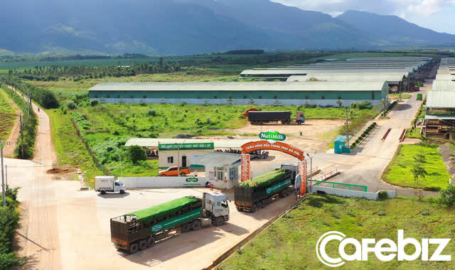 &#205;t b&#242; nhưng vẫn muốn đấu với Vinamilk v&#224; TH True Milk ở mảng sữa tươi, Nutifood đ&#227; l&#224;m c&#225;ch n&#224;o? - Ảnh 2