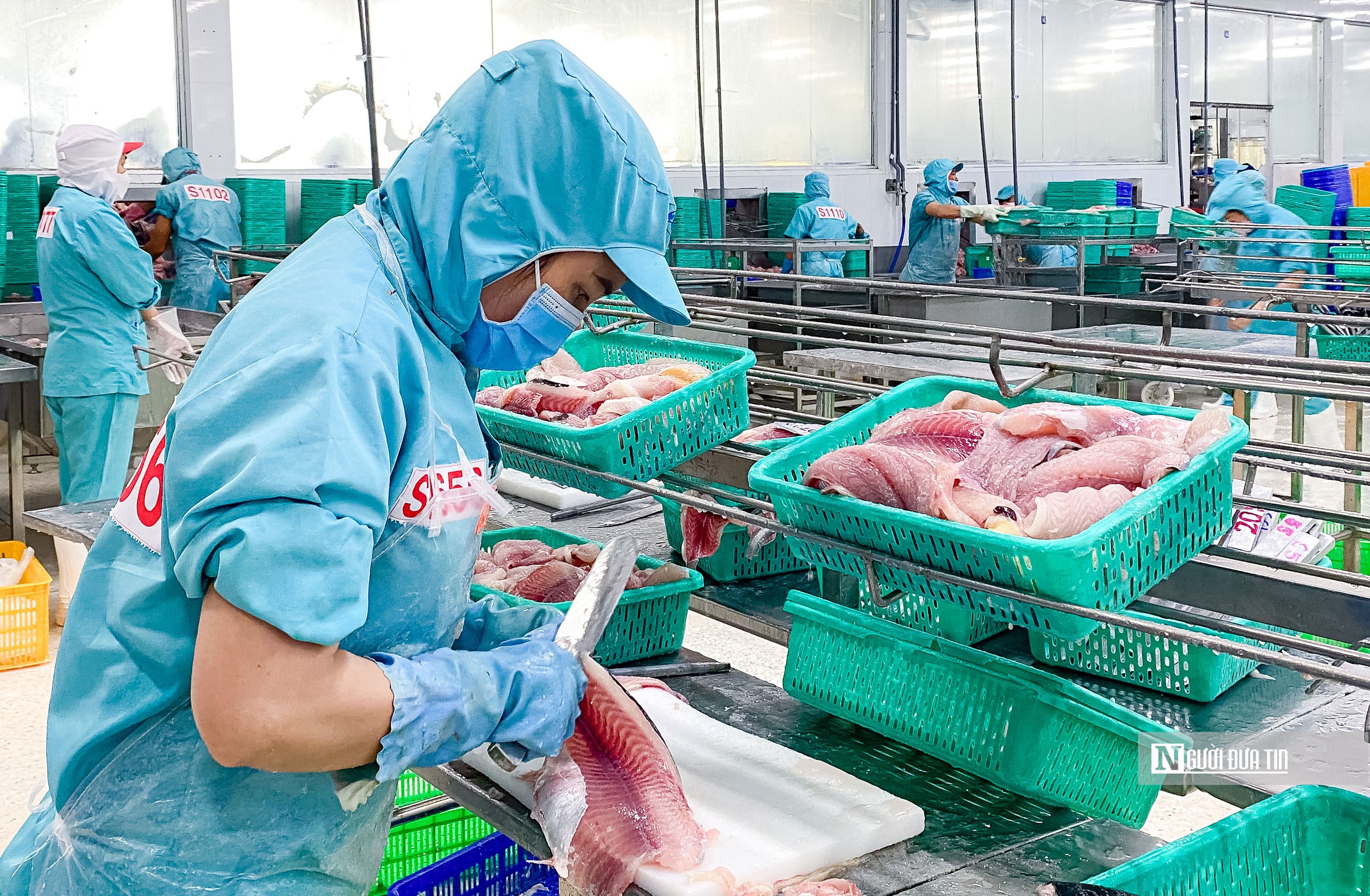 Kết th&uacute;c qu&yacute; III/2025, ng&agrave;nh thủy sản Việt Nam ghi nhận t&iacute;n hiệu phục hồi r&otilde; n&eacute;t khi nhiều doanh nghiệp b&aacute;o l&atilde;i cao, thậm ch&iacute; c&oacute; c&ocirc;ng ty đạt mức kỷ lục trong lịch sử hoạt động.