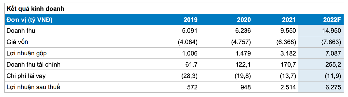 BVSC dự ph&oacute;ng kết quả kinh doanh cả năm 2022 của Ho&aacute; Chất Đức Giang (Nguồn: BVSC).