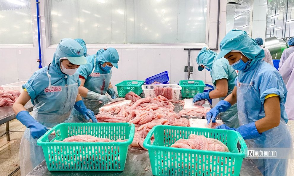 Doanh nghiệp thủy sản ch&#236;m trong m&#224;u buồn - Ảnh 1