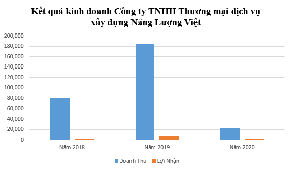 C&#244;ng ty Năng Lượng Việt: Bất thường về năng lực trong đấu thầu đến nợ tăng dần? - Ảnh 1