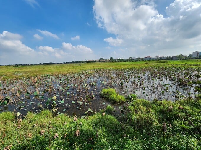 Khu đất thực hiện dự &aacute;n Th&agrave;nh phố gi&aacute;o dục quốc tế Thanh H&oacute;a.