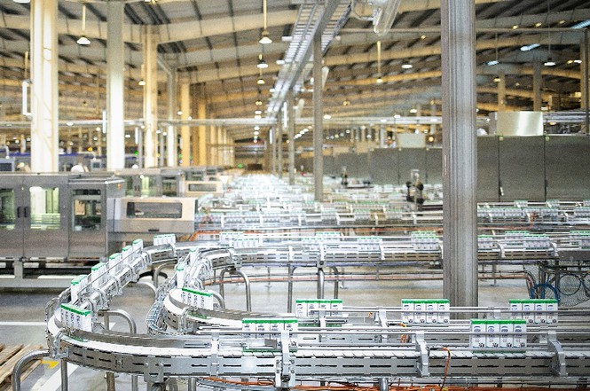 Niềm vui uống sữa học đường an to&#224;n tại TP.HCM - Ảnh 3