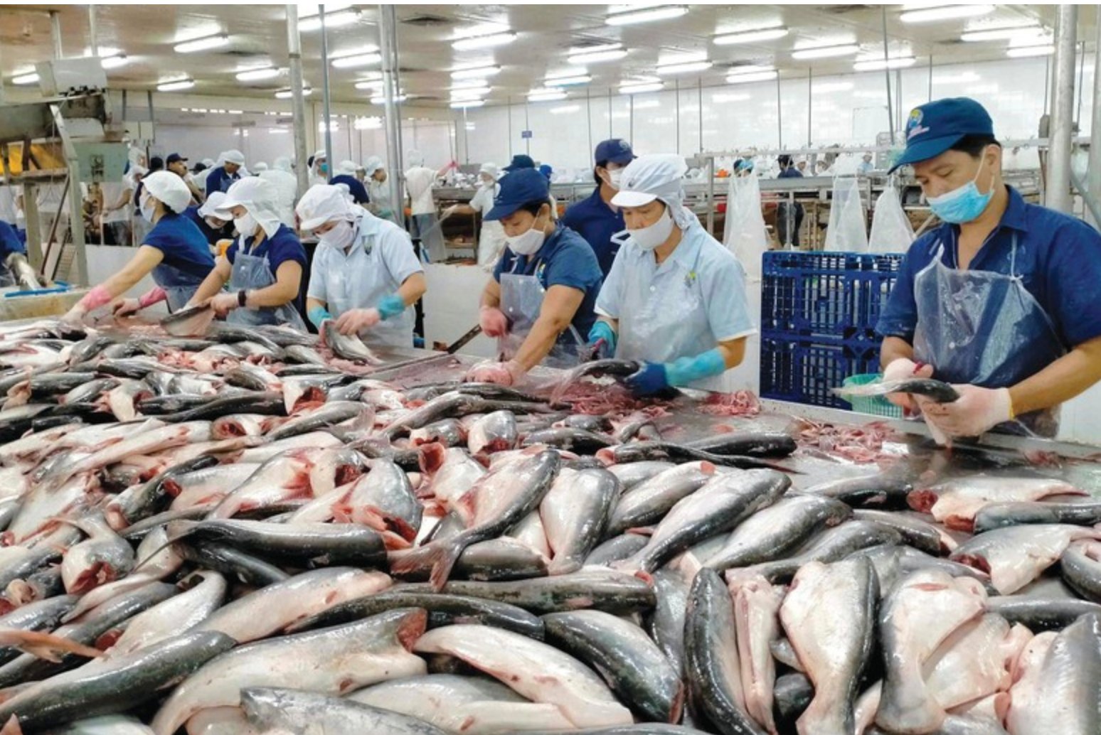 Xuất khẩu thủy sản trong qu&yacute; III/2025 ghi nhận mức tăng trưởng khả quan.