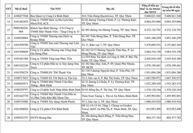 B&#236;nh Định: Thị Nại Eco Bay v&#224; loạt doanh nghiệp địa ốc nợ thuế “khủng” - Ảnh 2