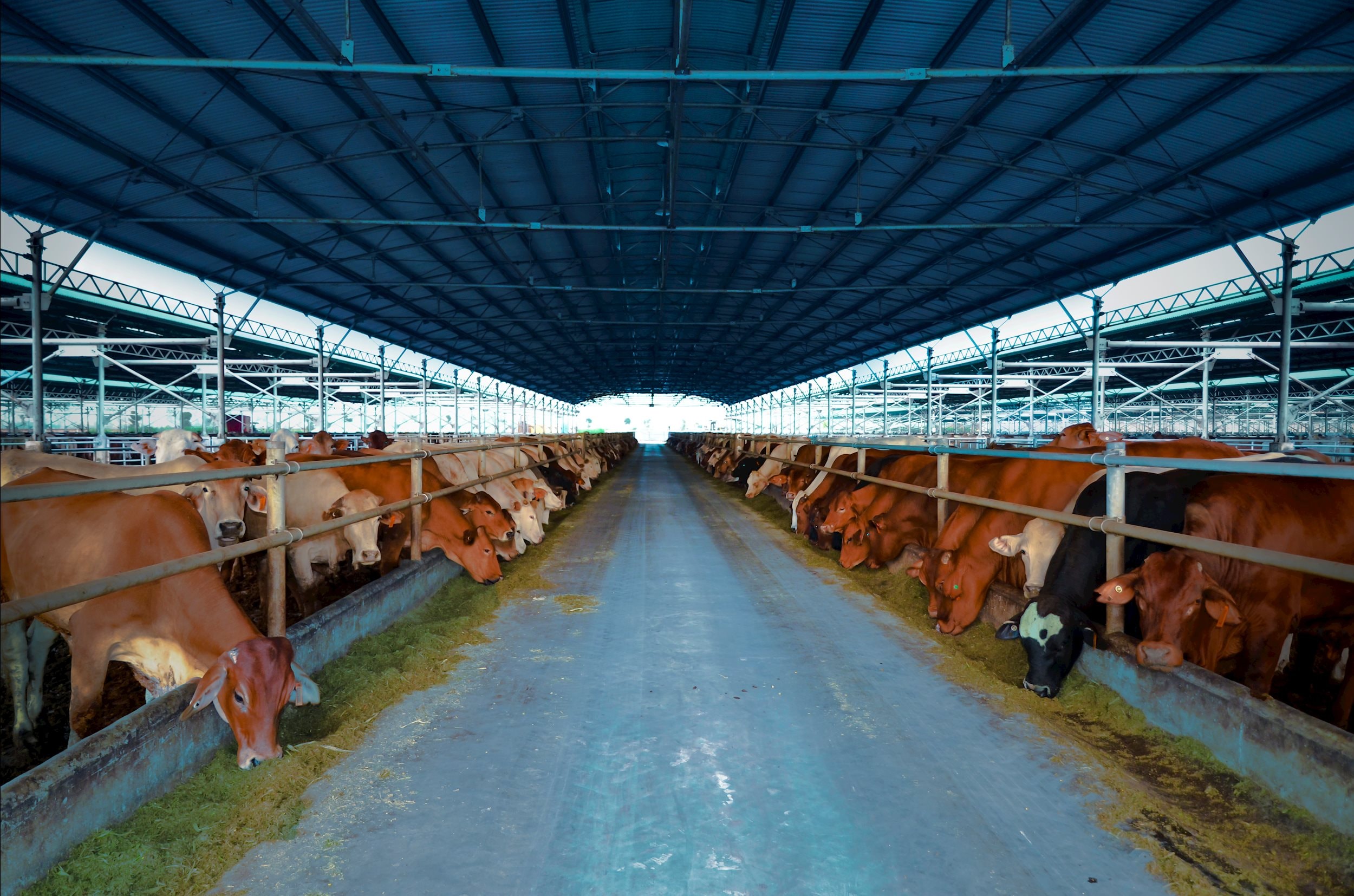 N&#244;ng nghiệp H&#242;a Ph&#225;t th&#244;ng b&#225;o ch&#224;o b&#225;n 30 triệu cổ phiếu lần đầu ra c&#244;ng ch&#250;ng - Ảnh 3