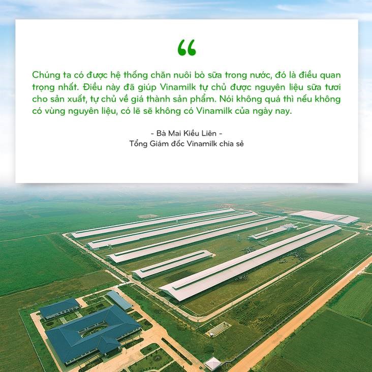 Vinamilk: 15 năm x&#226;y hệ thống trang trại b&#242; sữa với &#39;bộ sưu tập&#39; ti&#234;u chuẩn quốc tế - Ảnh 1