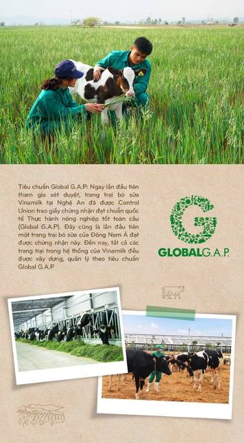 Vinamilk: 15 năm x&#226;y hệ thống trang trại b&#242; sữa với &#39;bộ sưu tập&#39; ti&#234;u chuẩn quốc tế - Ảnh 11