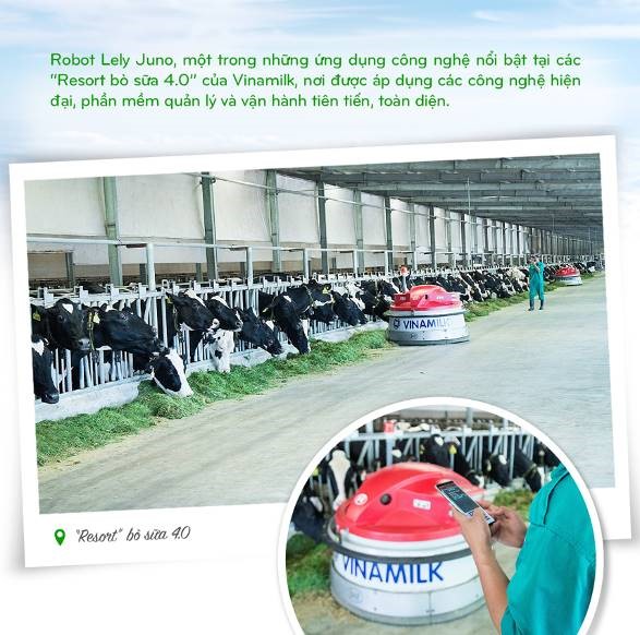 Vinamilk: 15 năm x&#226;y hệ thống trang trại b&#242; sữa với &#39;bộ sưu tập&#39; ti&#234;u chuẩn quốc tế - Ảnh 7