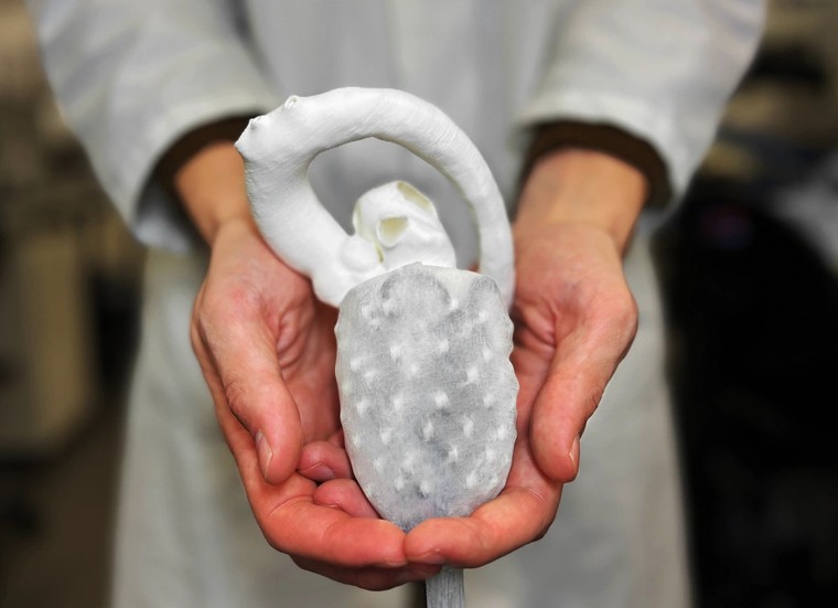 Những c&#244;ng nghệ hứa hẹn đột ph&#225; tương lai tại s&#226;n khấu VinFuture 2025 - Ảnh 2