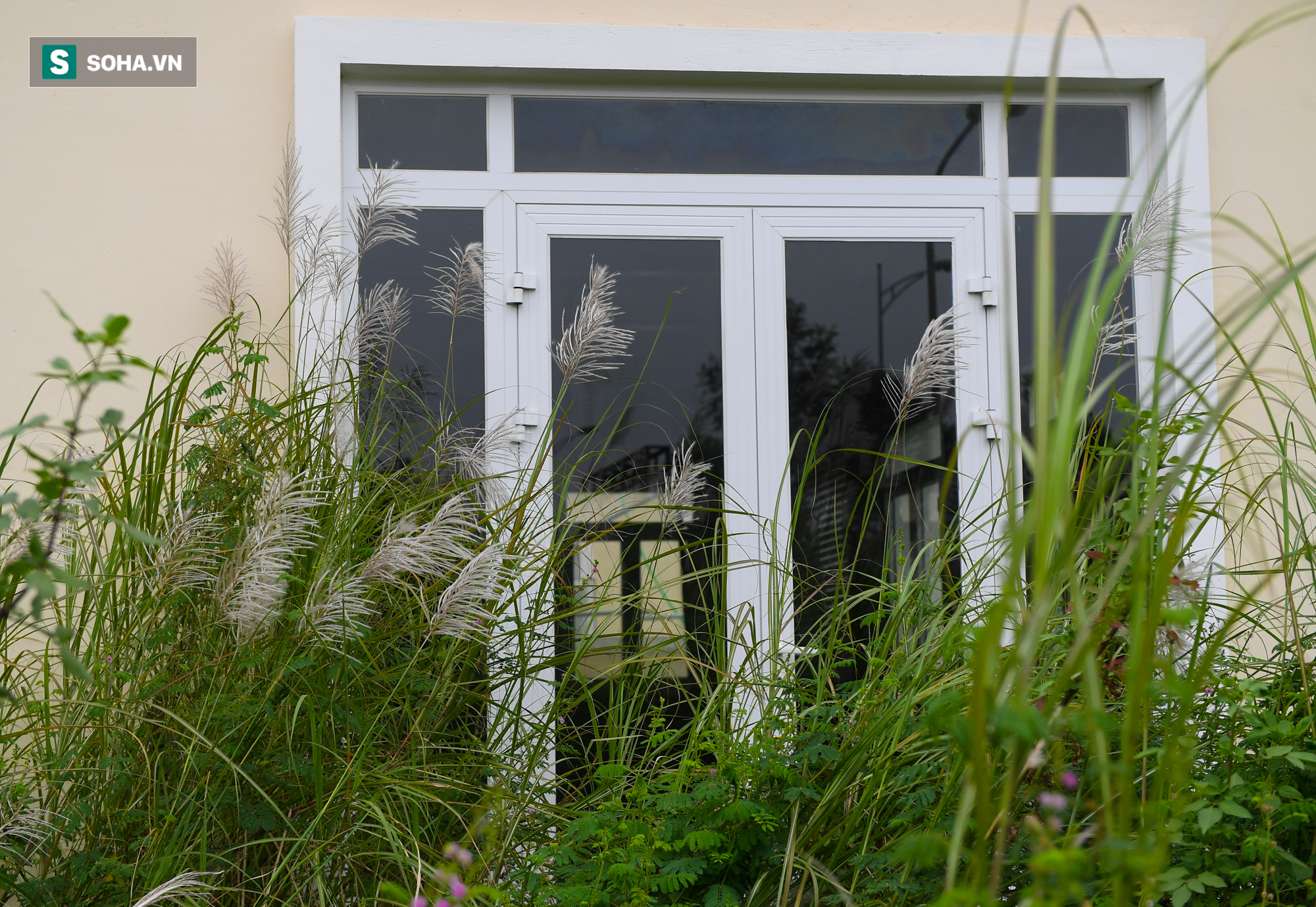 [ẢNH] H&#224;ng trăm biệt thự triệu USD bị bỏ qu&#234;n hơn thập kỷ ở Thủ đ&#244; - nhiều căn để nu&#244;i g&#224; - Ảnh 9