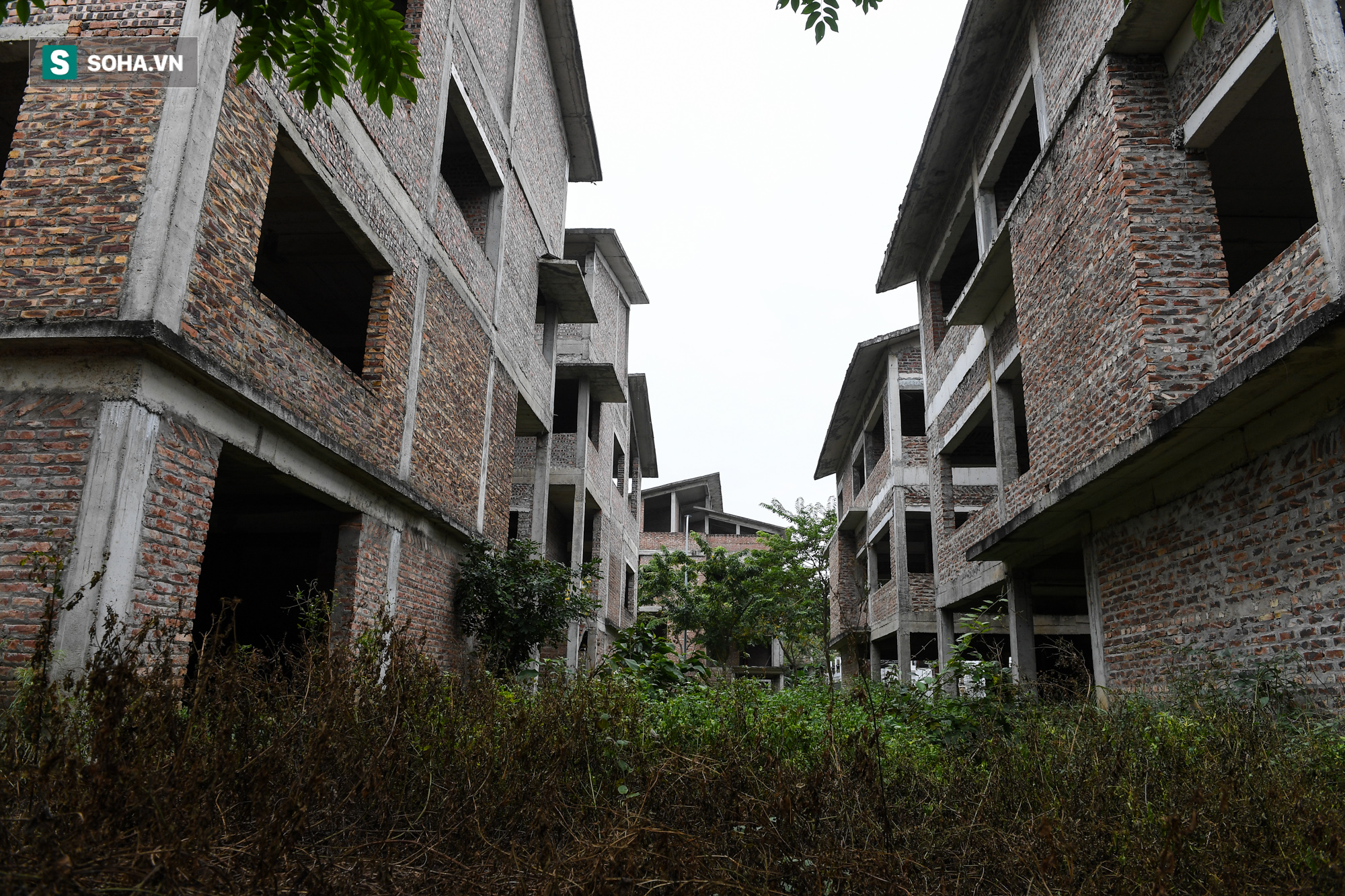 [ẢNH] H&#224;ng trăm biệt thự triệu USD bị bỏ qu&#234;n hơn thập kỷ ở Thủ đ&#244; - nhiều căn để nu&#244;i g&#224; - Ảnh 10