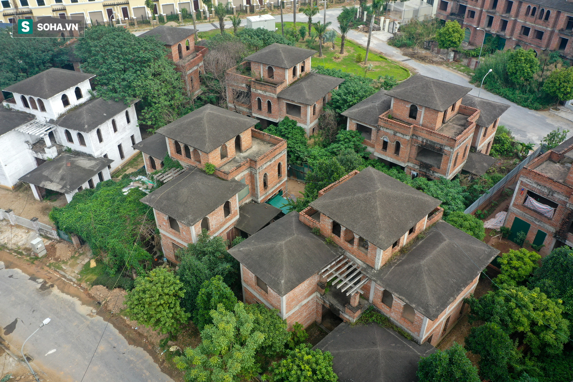 [ẢNH] H&#224;ng trăm biệt thự triệu USD bị bỏ qu&#234;n hơn thập kỷ ở Thủ đ&#244; - nhiều căn để nu&#244;i g&#224; - Ảnh 3