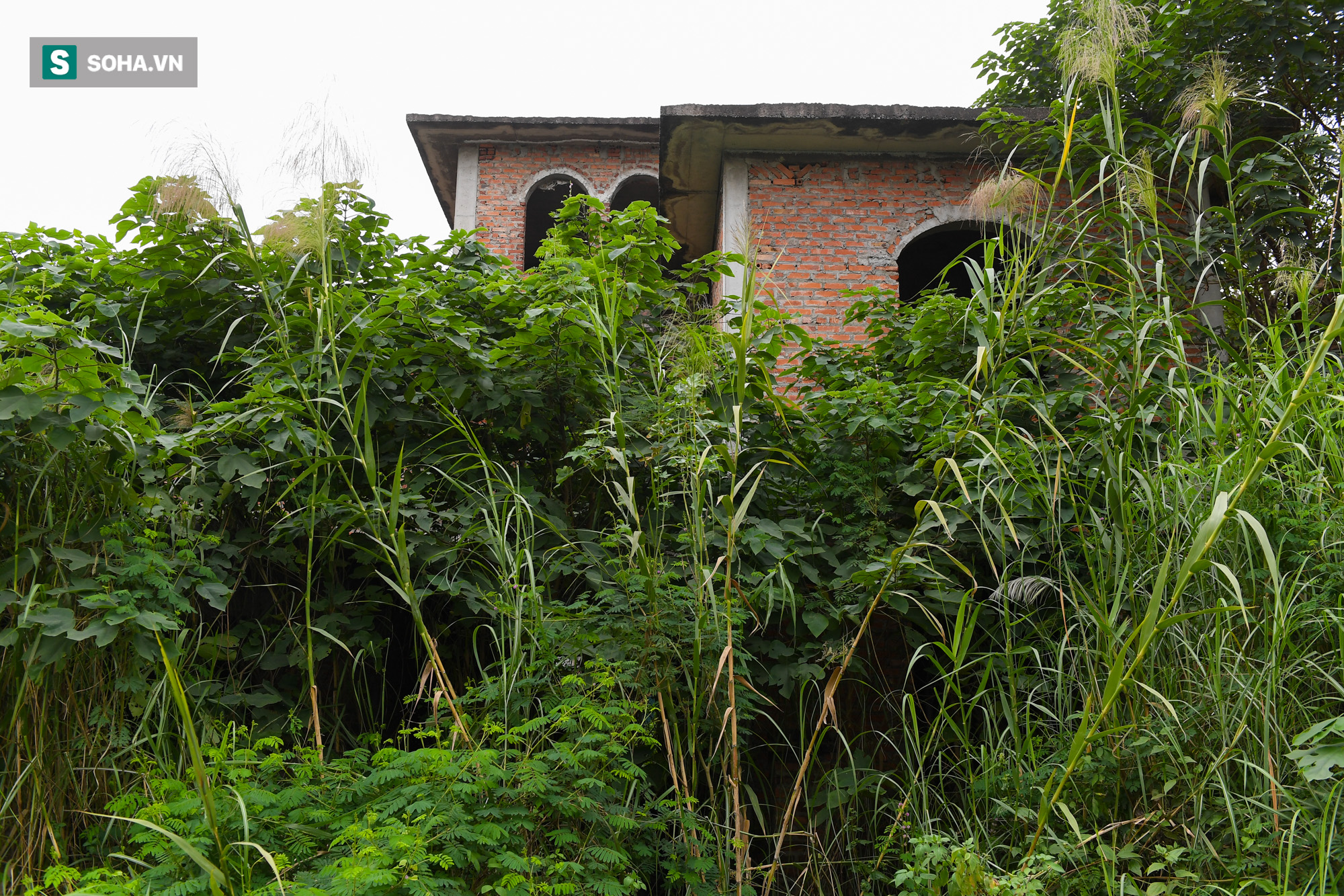 [ẢNH] H&#224;ng trăm biệt thự triệu USD bị bỏ qu&#234;n hơn thập kỷ ở Thủ đ&#244; - nhiều căn để nu&#244;i g&#224; - Ảnh 4