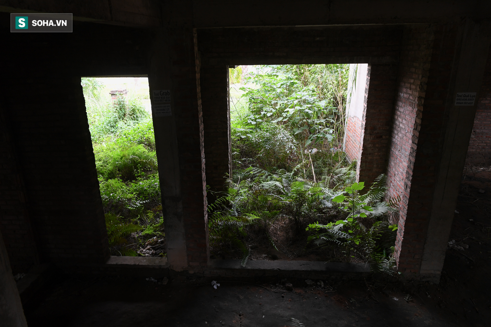 [ẢNH] H&#224;ng trăm biệt thự triệu USD bị bỏ qu&#234;n hơn thập kỷ ở Thủ đ&#244; - nhiều căn để nu&#244;i g&#224; - Ảnh 5