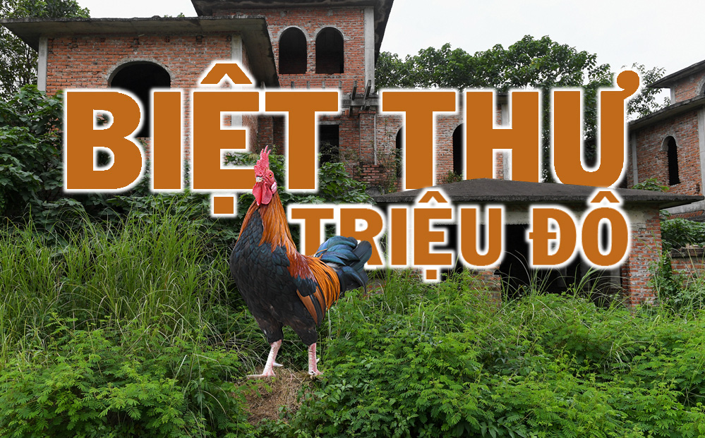 [ẢNH] H&#224;ng trăm biệt thự triệu USD bị bỏ qu&#234;n hơn thập kỷ ở Thủ đ&#244; - nhiều căn để nu&#244;i g&#224; - Ảnh 1