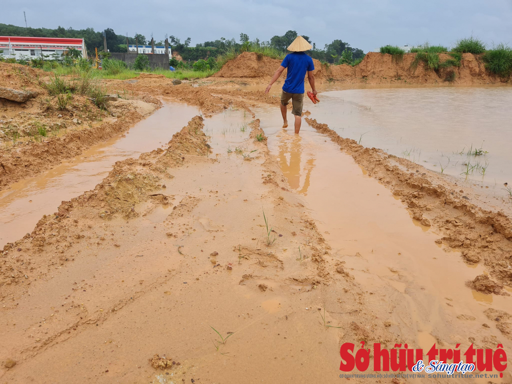 &nbsp;Đường đi biến th&agrave;nh s&igrave;nh lầy mỗi khi mưa xuống, bụi bay m&ugrave; mịt như c&ocirc;ng trường mỗi khi trời nắng.