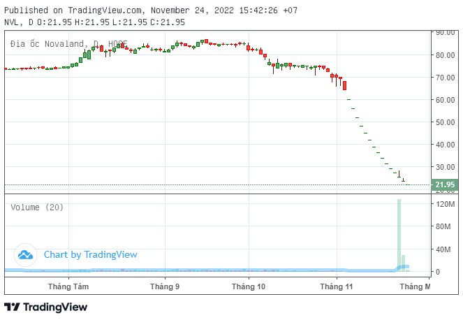 Giải m&#227; chuyện Citigroup Global chấp nhận ho&#225;n đổi tr&#225;i phiếu bằng cổ phiếu NVL với gi&#225; 85.000/cp khi thị gi&#225; chưa tới 22.000 đồng - Ảnh 2