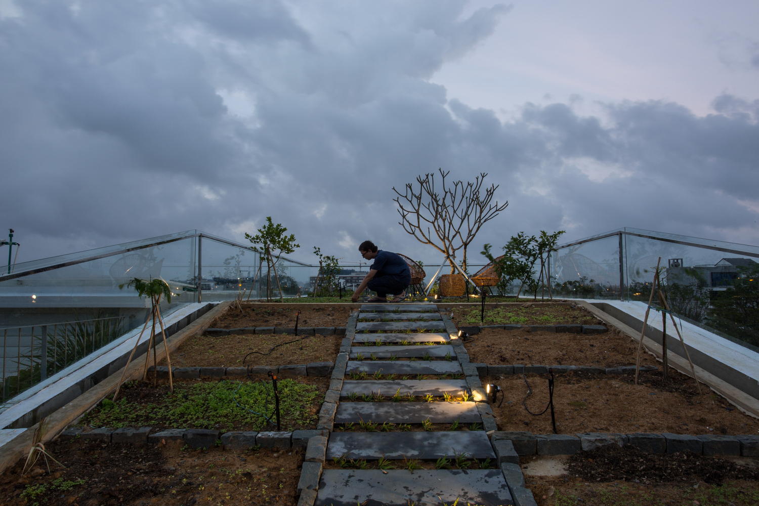 Nh&#224; 2 tầng mở ho&#224;n to&#224;n với cửa k&#237;nh, cả s&#226;n thượng l&#224; vườn trồng rau v&#224; khu vui chơi - Ảnh 5