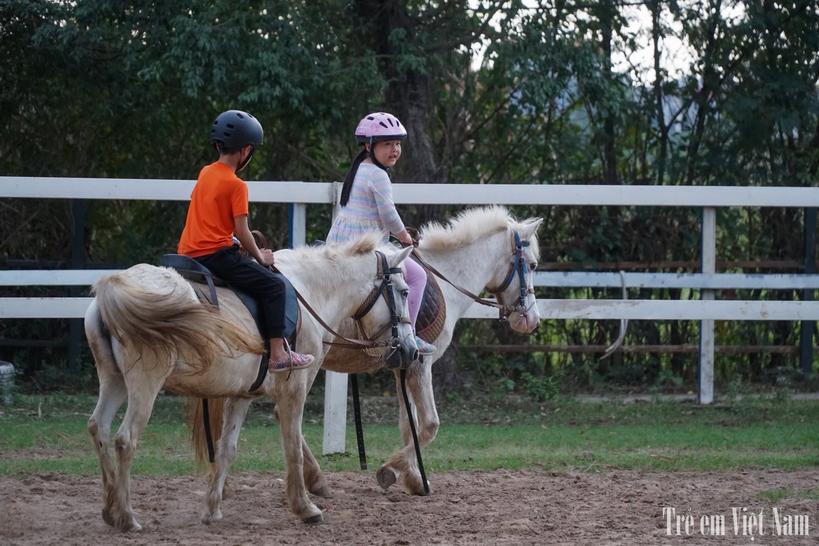 Ngo&agrave;i ra, c&aacute;c học vi&ecirc;n nh&iacute; c&oacute; thể trải nghiệm một buổi trải nghiệm cưỡi ngựa, chụp ảnh với ngựa v&agrave; chăm s&oacute;c ngựa với mức gi&aacute; 200.000 đồng/một tiếng.