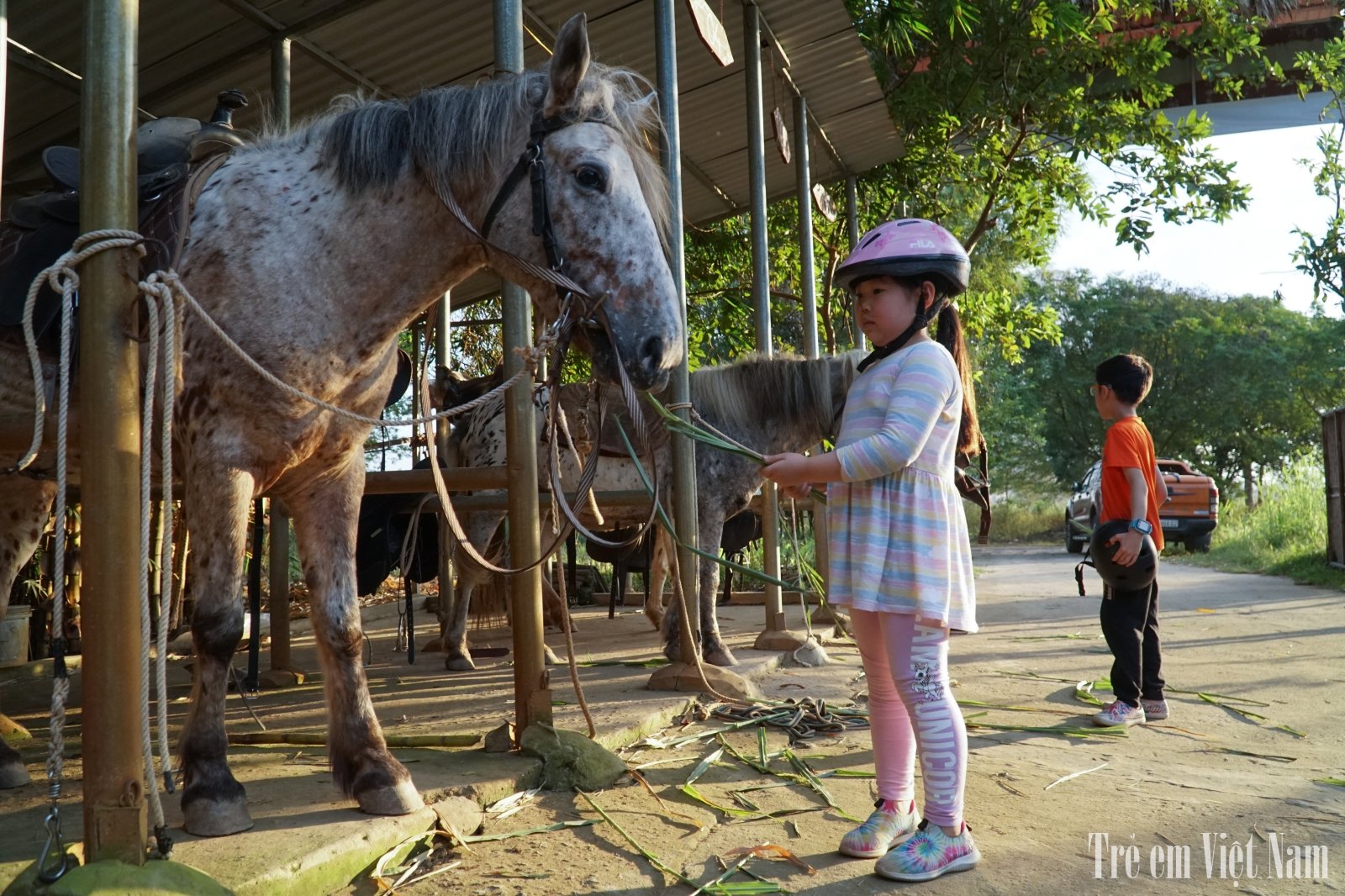 C&aacute;c b&eacute; tự tay cho ngựa ăn sau mỗi buổi học cưỡi để tăng t&igrave;nh cảm với c&aacute;c ch&uacute; ngựa.