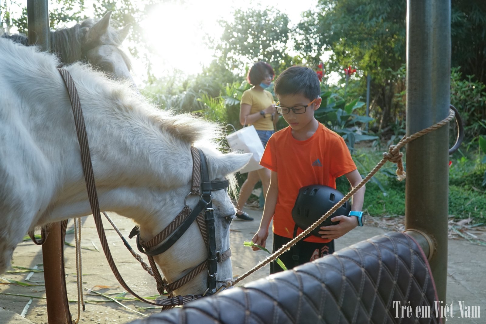 Chi tiền triệu cho con học cưỡi ngựa giữa H&#224; Nội - Ảnh 1