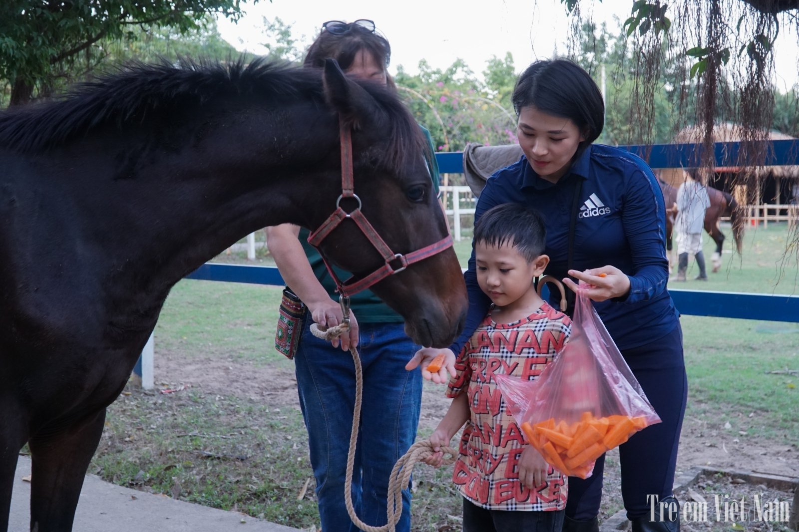 Nhiều b&eacute; lần đầu ti&ecirc;n tiếp x&uacute;c với ngựa c&ograve;n kh&aacute; bỡ ngỡ v&agrave; rụt r&egrave;.