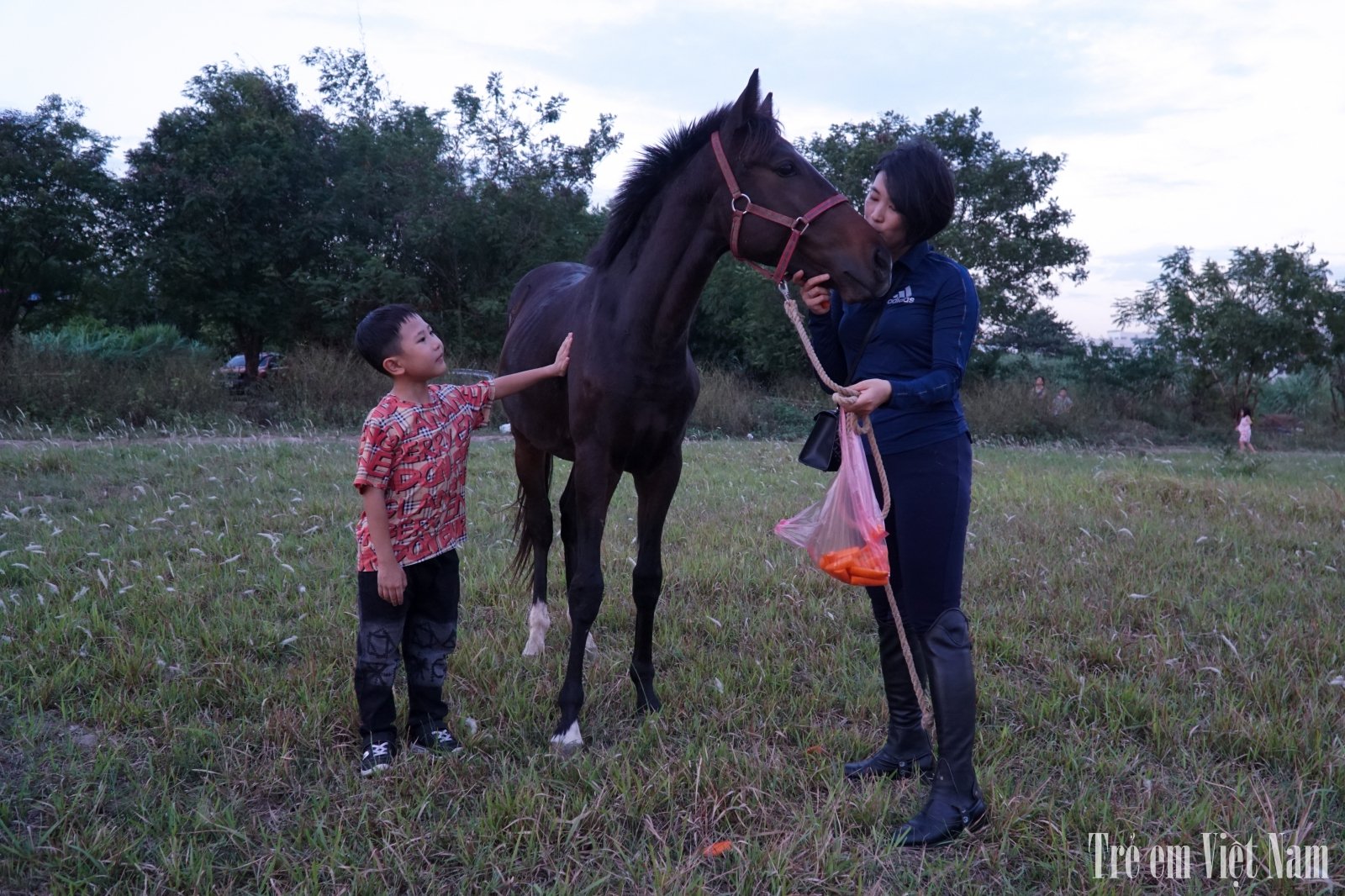 Sau một thời gian được hướng dẫn c&aacute;c b&eacute; đ&atilde; c&oacute; thể mạnh dạn để b&agrave;y tỏ t&igrave;nh cảm với ch&uacute; ngựa như một người bạn của m&igrave;nh.