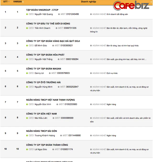 10 doanh nghiệp tư nh&#226;n lớn nhất Việt Nam 2021: 9 vị tr&#237; giữ nguy&#234;n, Tập đo&#224;n Th&#224;nh C&#244;ng lọt Top! - Ảnh 2