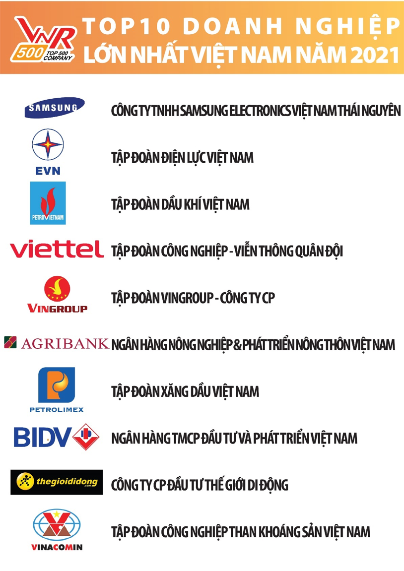 10 doanh nghiệp tư nh&#226;n lớn nhất Việt Nam 2021: 9 vị tr&#237; giữ nguy&#234;n, Tập đo&#224;n Th&#224;nh C&#244;ng lọt Top! - Ảnh 3